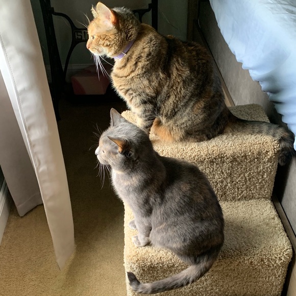 I lint roll everything before shipping. - Picture 4 of 4